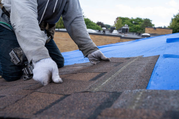 Best Metal Roofing Contractor  in Moorefield, WV