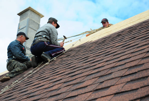 Best Roof Leak Repair  in Moorefield, WV